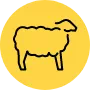 ikona owcy