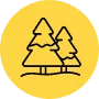 ikona drzew